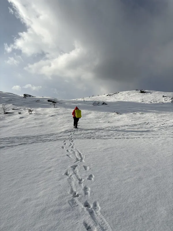 A trekker in a red jacket walking away across fresh snow, footprints trailing behind
